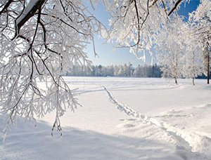 Цветная зима, стихотворение Сергея Агаркова