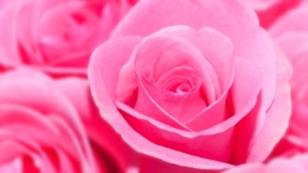 Значение розового цвета в психологии