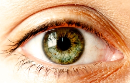 Как развивается и меняется цвет глаз