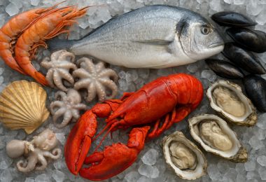 Свежие морепродукты: как выбрать, хранить и готовить так, чтобы они радовали каждый раз